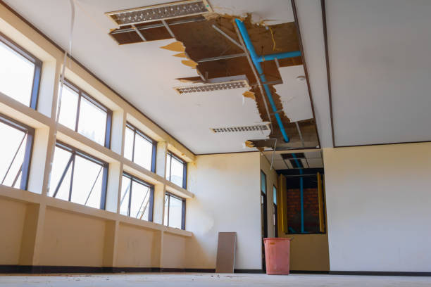 Best Professional water damage repair  in North Caldwell, NJ