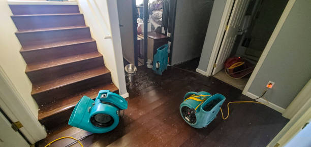 Best Flood damage cleanup  in North Caldwell, NJ