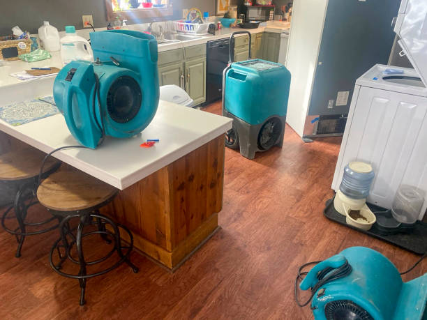 Best Water damage contractors near me  in North Caldwell, NJ