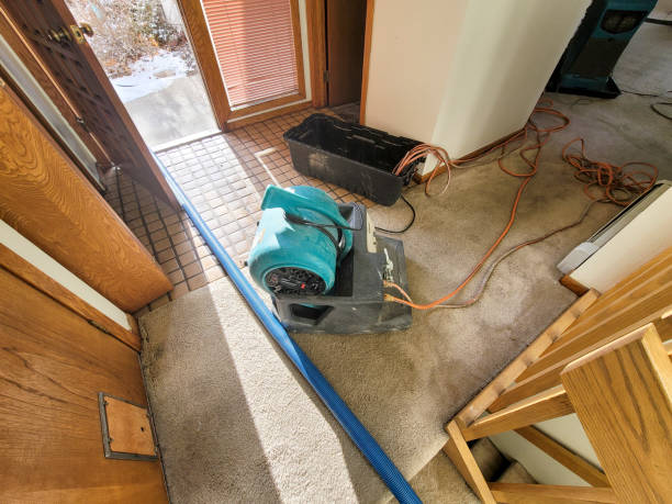 Best Fire Damage Restoration  in North Caldwell, NJ