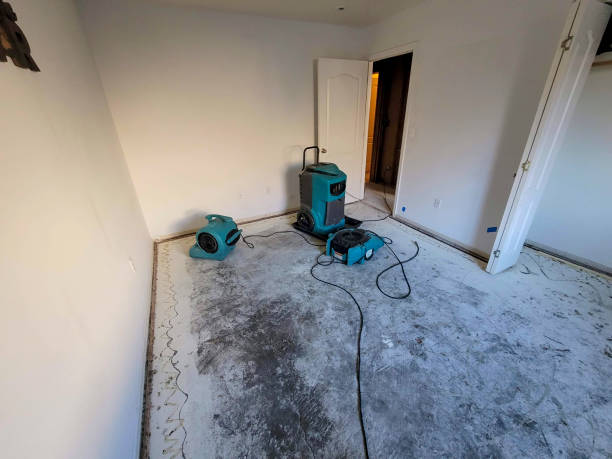 Best Flooded house restoration  in North Caldwell, NJ
