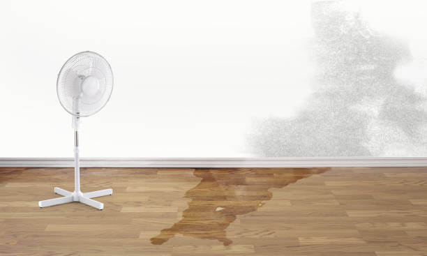 Best Water damage cleanup near me  in North Caldwell, NJ