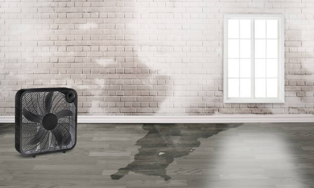 Trusted North Caldwell, NJ Water damage restoration Experts
