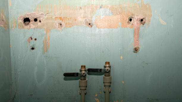 Best 24-hour water damage restoration  in North Caldwell, NJ