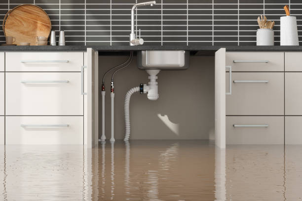 Best Basement water damage restoration  in North Caldwell, NJ