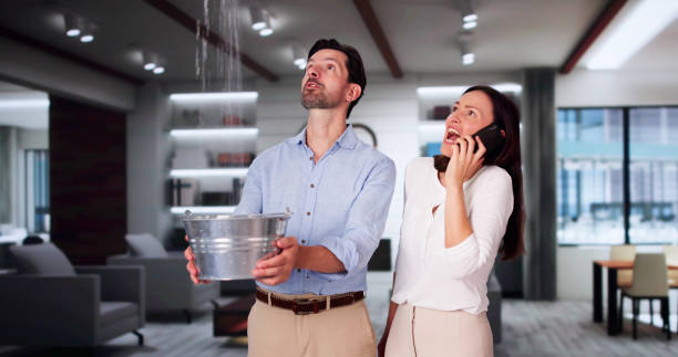 Best Residential water damage restoration  in North Caldwell, NJ